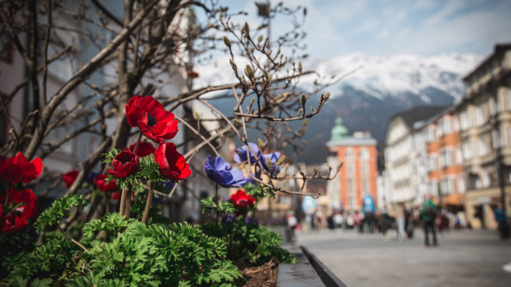 by innsbruck tourism altstadt