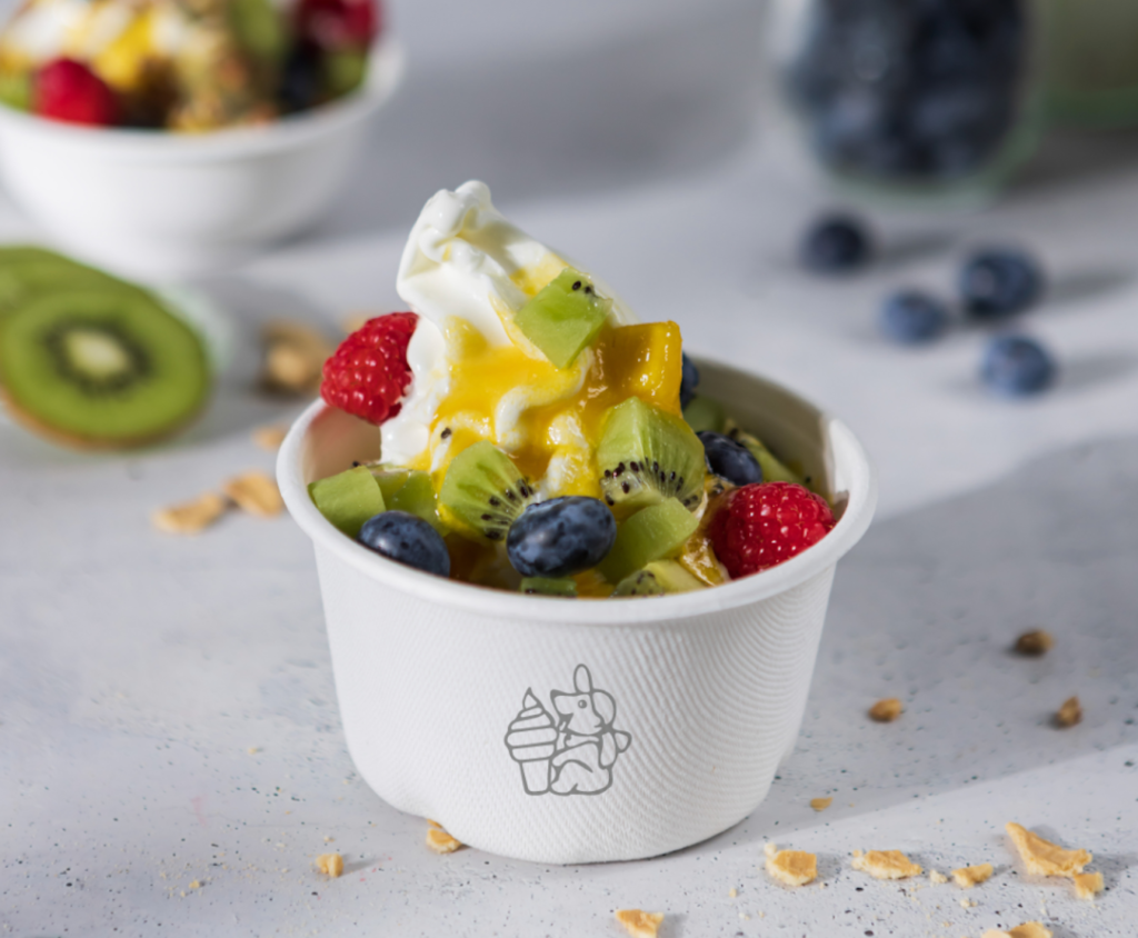 Peintner Frozen Yogurt